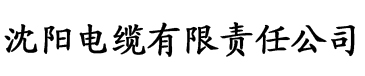 樱桃安装包电缆厂logo